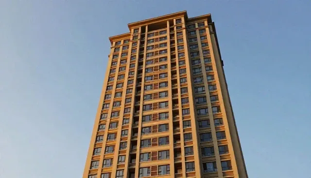 项目执行管理中能力建设的关键应用场景分析